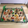 Animal Kingdom Set for Kids -(Multicolor).