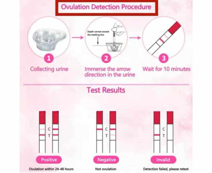5%20Pcs%20Ovulation%20Test%20Strip%20Paper%20Urine%20Tester%20Kit%20Rapid%20Display%20Female%20Health%20Tool%20-%20Image%205