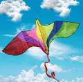 8 FEET Huge Outdoor Kite (ghuri/ঘুড়ি).