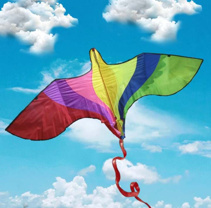 8 FEET Huge Outdoor Kite (ghuri/ঘুড়ি)