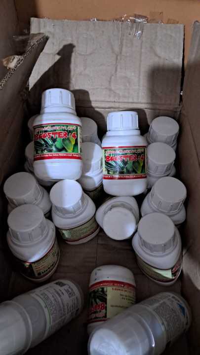 Booster%204-%E0%A6%AC%E0%A7%81%E0%A6%B8%E0%A7%8D%E0%A6%9F%E0%A6%BE%E0%A6%B0-%E0%A7%AA%20%E0%A6%85%E0%A6%B0%E0%A7%8D%E0%A6%9C%E0%A6%BF%E0%A6%A8%E0%A6%BE%E0%A6%B2%20%E0%A6%87%E0%A6%A8%E0%A7%8D%E0%A6%A1%E0%A6%BF%E0%A7%9F%E0%A6%BE%E0%A6%A8%20-%20Image%204