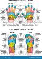 Foot Roller Massager - Acupressure Wooden Tools for Pain Relief and Relaxation | Wooden foot roller | Durable, Eco-Friendly, and Easy to Use | Wooden Footrest..