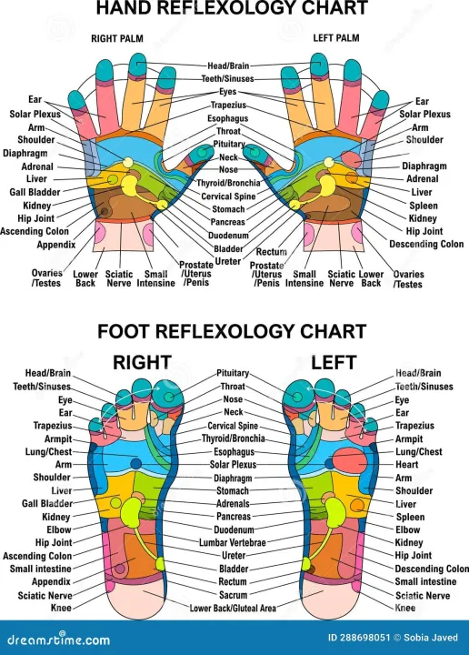 Foot%20Roller%20Massager%20-%20Acupressure%20Wooden%20Tools%20for%20Pain%20Relief%20and%20Relaxation%20%7C%20Wooden%20foot%20roller%20%7C%20Durable,%20Eco-Friendly,%20and%20Easy%20to%20Use%20%7C%20Wooden%20Footrest.%20-%20Image%203