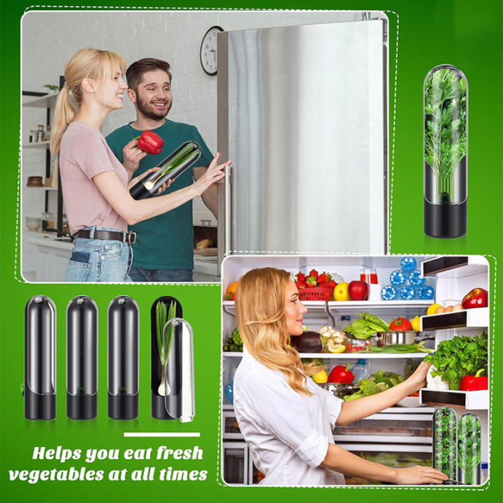 Herb%20Keeper%20Herb%20Storage%20Container%20Plastic%20Savor%20Preserver%20For%20Cilantro%20Mint,Kitchen%20Accessories%20Luolong%20-%20Image%207