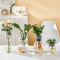 Mini Hydroponic Flower Pot Fish Tank Transparent Plastic Soilless Plant Pots Podazz. 