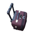 Small size trolley bag 16 inch. 