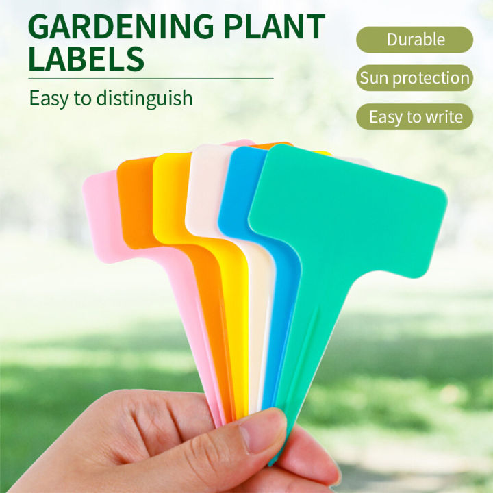 100PCS%20garden%20classification%20label%20Plastic%20writing%20board%20T-type%20waterproof%20flower%20label%20-%20Image%202