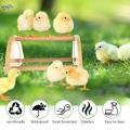 Chick Perch Training Perch Wooden Bird Perch Chicken Toys Chicken Wood Stand. 