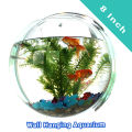 Plastic Wall Hanging Aquarium (8 Inch) | Aquarium Fish Tank | Wall Aquarium Bowl | Wall Hanging Fish Tank - Aquarium. 