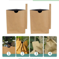 Waterproof Mango Paper Bag 10 Pieces. 
