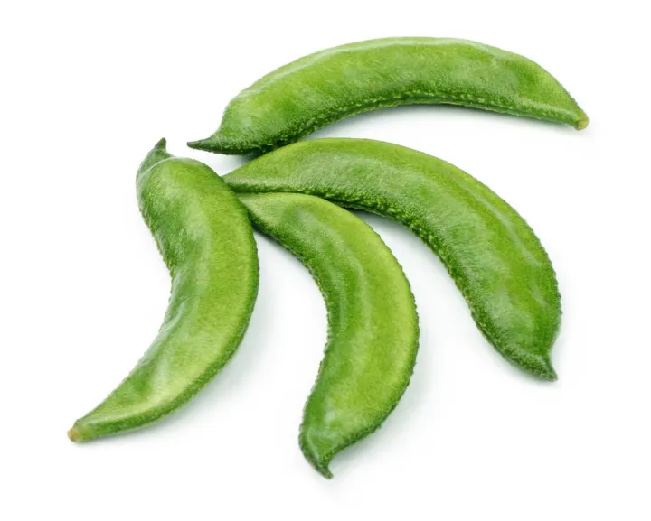 Highly%20Vital%20-%20Hybrid%20kidney%20bean%20(Simer%20Bij)%20seeds%201%20intake%20packet%20(05%20gram)%20-%20Tools,%20DIY%20&%20Outdoor%20-%20Modern%20and%20Trendy%20-%20Image%206