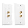 TWEXQNY 4 Posts Speaker Wall Plate Home Theater Wall Plate Audio Panel for 1 Speakers. 
