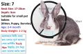 E Collar Elizabeth Collar for Dogs Cats Rabbits Pets e collar Surgery Recovery Collars, Size-7 (Neck: 17-20cm, Depth: 9cm).