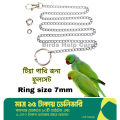 Metal Foot Chian Harness Leash & anklet Ring fullset combo pack for ringneck or sun conure birds. 