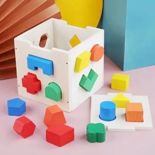 Multicolor Educational Fifteen Hole Intelligence Box