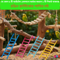 Code- 6092 - 1 Pcs Colorful Plastic Bird Ladder Toy for Cage (Budgie, Lovebird)  | bird cage,bird accessories,bird food,bird toys,bird nest,bird harness,bird cage big size,bird feeder,bird house,bird cage decoration,bird cage big size steel,cage small. 