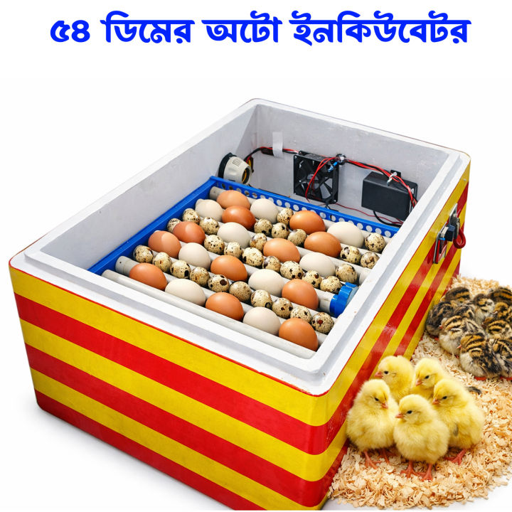AC-DC Automatic Egg Incubator 54 Egg Capacity auto Egg Turning System ...