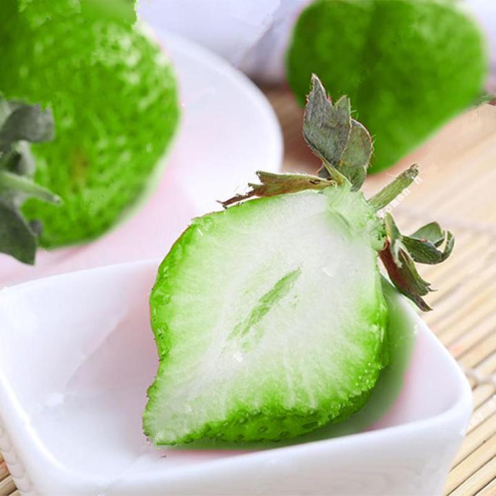 Strawberry Seeds Garden Fruit Seeds (বীজ)