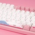 Akko 3087 V2 World Tour-Tokyo Mechanical Gaming Keyboard Wired TKL 87-Key with OEM Profile PBT Dye-Sub Keycaps N-key Rollover. 