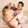 Creative simulation dog toy plush doll cartoon personality single dog cushion detachable washable pillow funny gifts.