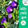মর্নিং গ্লোরি ফুলের বীজ | Morning Glory Flower Seeds.