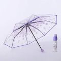 Cherry Blossom Korean Version Three Fold Transparent Umbrella. 