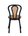 New Classic Chair (Wood Insert) - Black.
