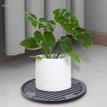 Plant Stand Plant Trays Planter Trolley Tray Coaster Water Storage Dia 28cm. 