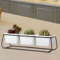 Indoor Plant Pot Creative Container for Desktop Indoor Outdoor Home Decor. 