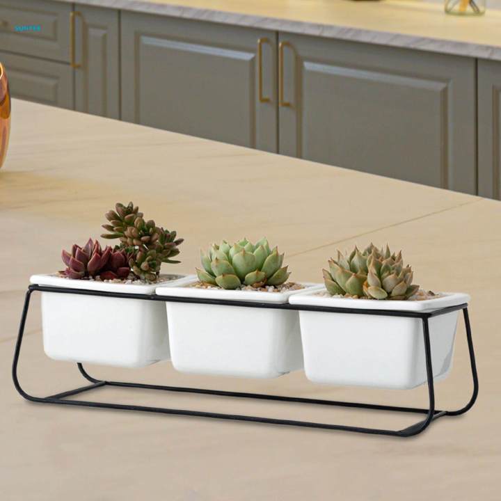 Indoor%20Plant%20Pot%20Creative%20Container%20for%20Desktop%20Indoor%20Outdoor%20Home%20Decor%20-%20Image%205