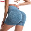 Slim Fit High Waist Yoga Shorts Hip Push Up Women Gym Plain Soft Nylon Fitness Running Shorts Tummy Control Workout Gym Shorts.