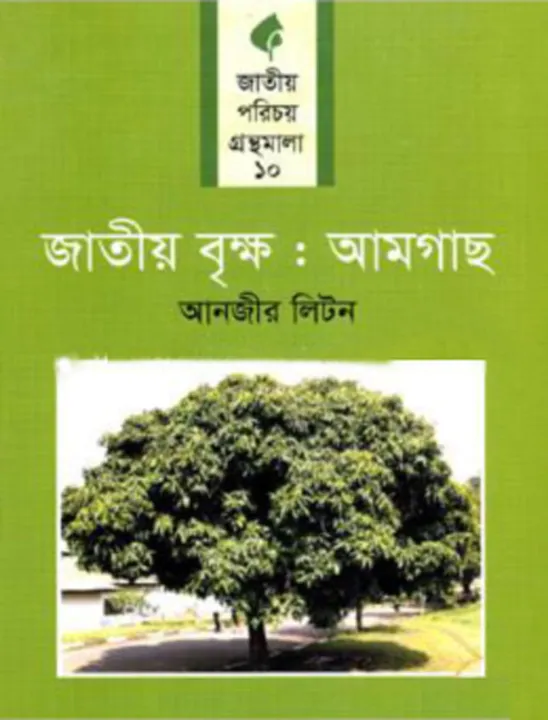 National%20Tree:%20Mango%20Tree%20-%20Image%202