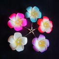 Hijab PIN-5 Piece (different colors) of the woodpecker foam flower - Elegant and Refined - Modern Vibe. 