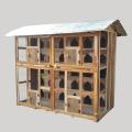 Pigeons cage 30 box. 