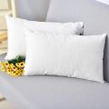 cotton Fiber White Cushion 20x12 Inch 2 Pcs.