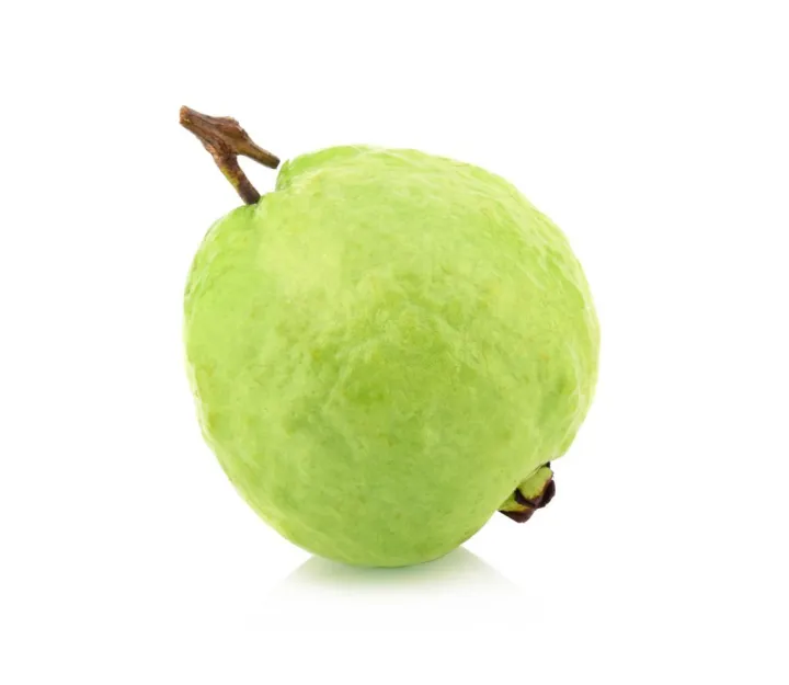 Indispensable%20-%20Hybrid%20Guava%20(pear)%20Fruit%20Seeds%20-%2020%20Pieces.%20Barisailla%20kaji%20peyara%20bij.%20-%20Tools,%20DIY%20&%20Outdoor%20-%20Modern%20and%20Trendy%20-%20Image%204