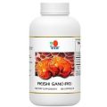 Reishi Gano Mushroom Capsule (RG)-360 pcs. 
