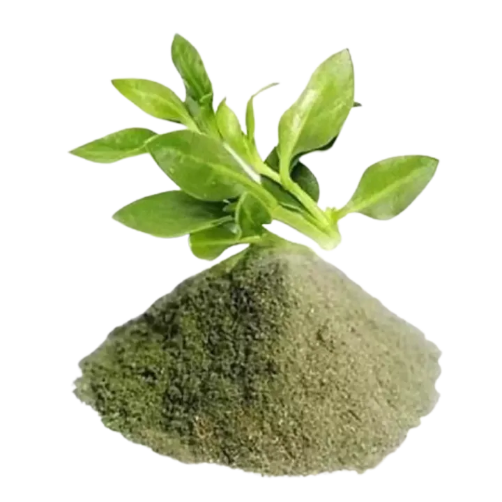 Kalomegh%20Powder%20-%20100gm%20-%20Kalo%20Megh%20Powder%20-%20Gura%20-%20Image%203