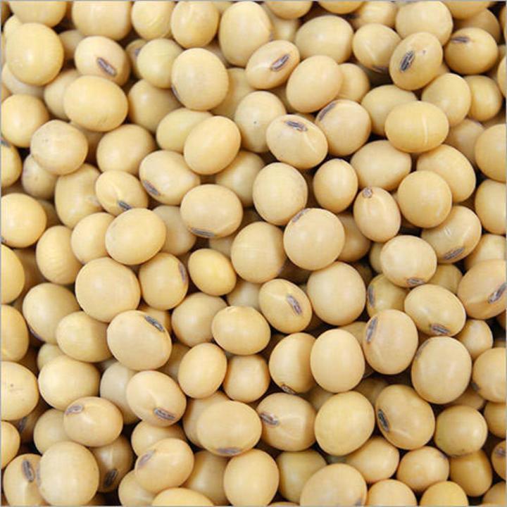 Soybean seeds 1 kg