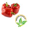 Capcicum Green/red/yellow mix seed (20 seeds). 