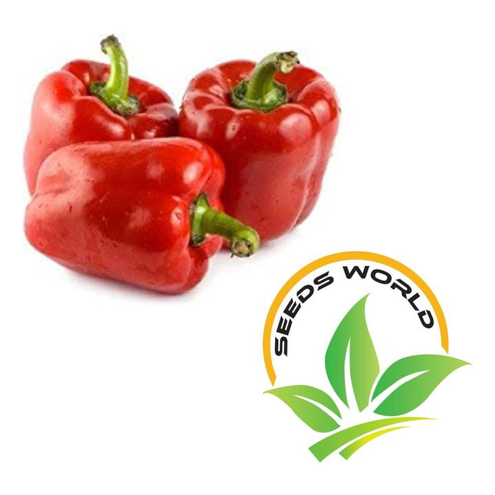 Capcicum%20Green/red/yellow%20mix%20seed%20(20%20seeds)%20-%20Image%202