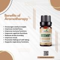 IKEBANA Rosemary Essential Oil - 20ml. 