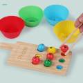Sorting Toys Montessori Toys Set Practicing Developing Intelligent Matching Game Counting Toys for.