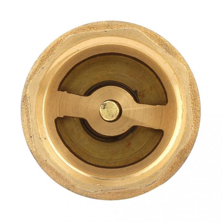 3/4''%20Brass%20Foot%20Check%20Valve%20Non%20Return%20with%20Stainless%20Strainer%20for%20Pump%20-%20Image%205