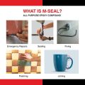 Pidilite M-Seal (100g) Regular Epoxy Compound Adhesive - Waterproof, Durable, Multi-Purpose Sealant for Leak Proofing & Repairs. 