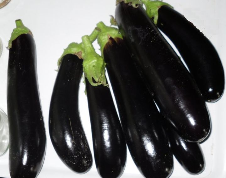 China%20Hybrid%20Brinjal%20Begun%20Eggplant%20Seed%2030%20Piece%20(%E0%A6%B2%E0%A6%AE%E0%A7%8D%E0%A6%AC%E0%A6%BE%20%E0%A6%AC%E0%A7%87%E0%A6%97%E0%A7%81%E0%A6%A8%20%E0%A6%AC%E0%A7%80%E0%A6%9C)%20-%20Image%203