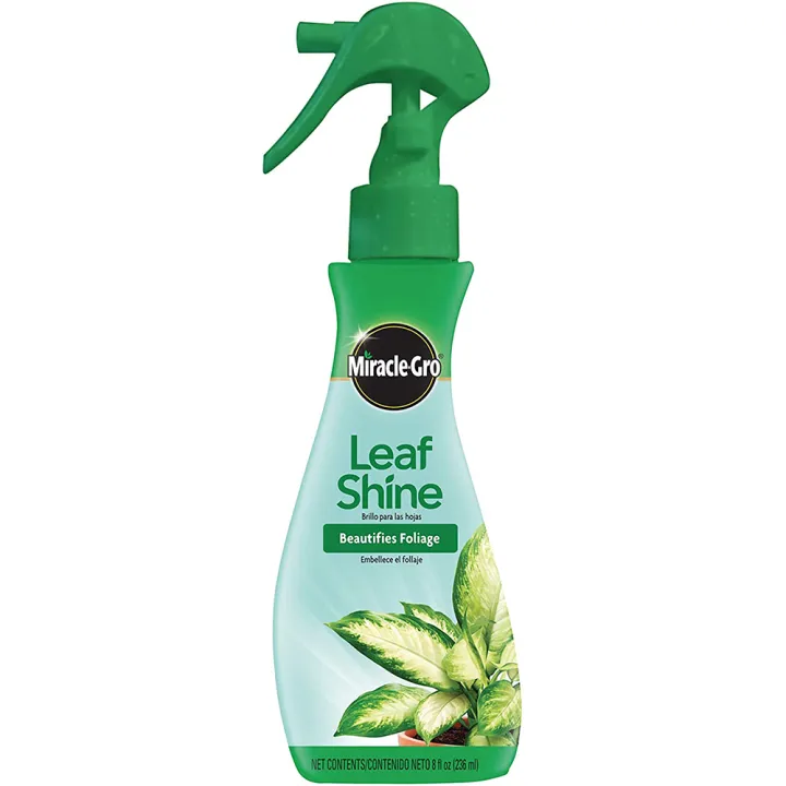 Miracle-Gro Leaf Shine, 8-Ounce USA clean orchid and house plant leaf and make it shiny for long time