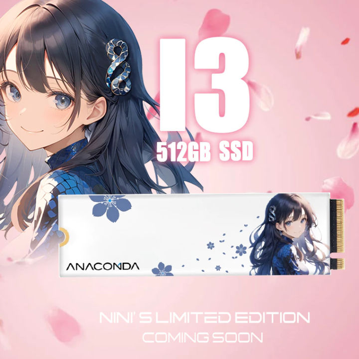 Anacomda%20NINI%20Special%20Edition%20512GB%20M.2%20NVMe%20PCIe%20Gen3x4%20SSD%20-%20Image%203