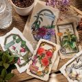 10 Pcs Vintage Plants Collage Border Dual Material Stickers Pack DIY Diary Junk Journal Decor Frame Sticker Album Scrapbooking. 