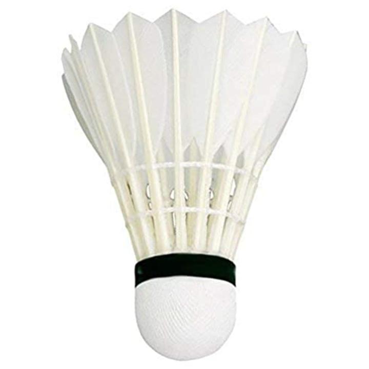 ব্যাডমিন্টন ফেদার-কর্ক-শাটলকক